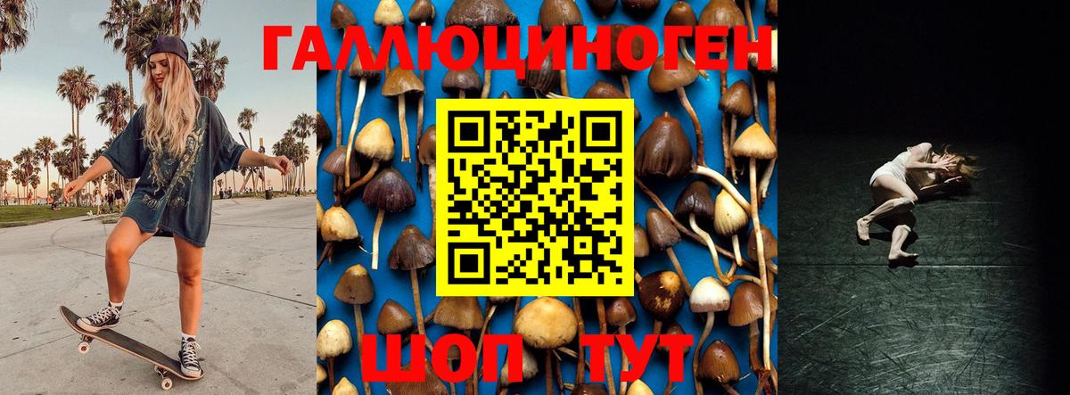 Сургут  Галлюциногенные грибы Cubensis  Галлюциногенные грибы MAGIC MUSHROOMS  Вход с VPN 