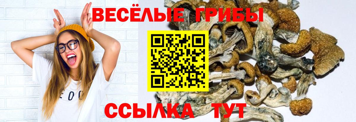 Псилоцибиновые грибы прущие грибы Сургут